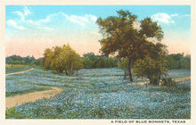 Load image into Gallery viewer, Field of Bluebonnets, Texas Postcard