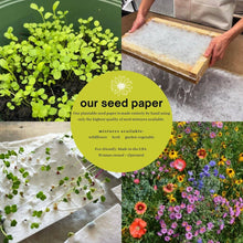 Load image into Gallery viewer, Cardinal Plantable Greeting Card