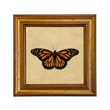 Load image into Gallery viewer, Monarch Butterfly Vintage Style Illustration Framed Print
