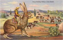 Load image into Gallery viewer, Postcard TX-468 Texas Cowboy Herding from Jack Rabbit