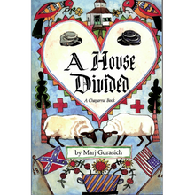 Load image into Gallery viewer, A House Divided