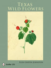 Load image into Gallery viewer, Texas Wild Flowers
