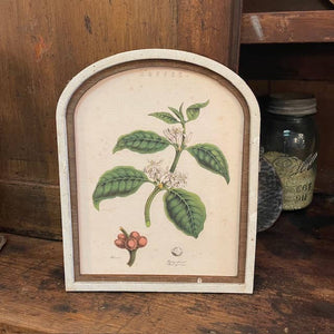 Coffee Botanical Canvas Print Framed in Arch