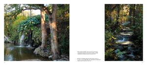 Texas Hill Country: A Scenic Journey