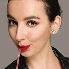 Load image into Gallery viewer, Hungry Bunny Earrings
