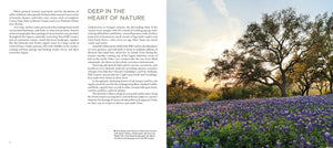 Texas Hill Country: A Scenic Journey
