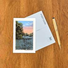 Load image into Gallery viewer, Bluebonnets, Texas Postcard
